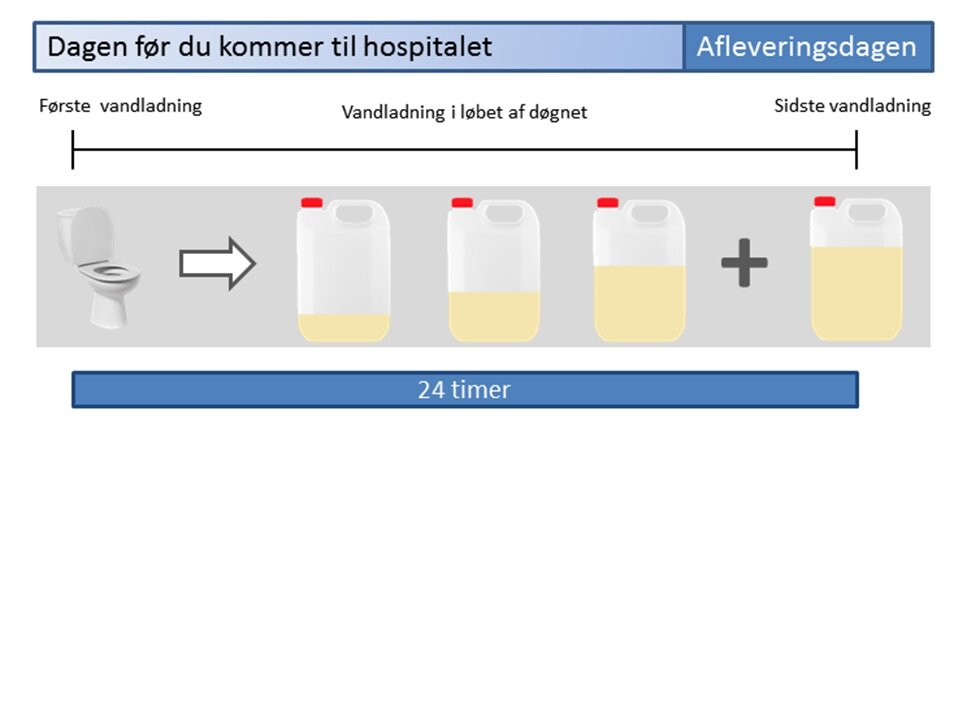 Opsamling af urin i 24 timer hjemme Opsamling af urin i 24 timer hjemme